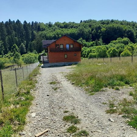 فيلا Casa Lucretiu Păltinoasa المظهر الخارجي الصورة